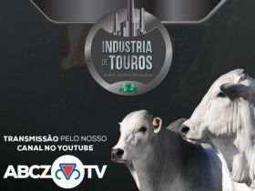 Leilão Indústria de Touros Rima será realizado neste domingo com transmissão pela ABCZ TV 