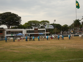 XII ExpoBrahman começa hoje em Uberaba 