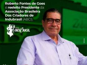 Roberto Fontes Goes é reeleito presidente da ABCI