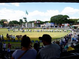 89ª ExpoZebu: prazo para inscrições com desconto e direito à escolha do pavilhão é 29 de fevereiro