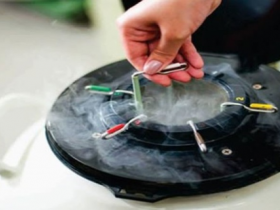 Brasil vai exportar material genético bovino para Moçambique