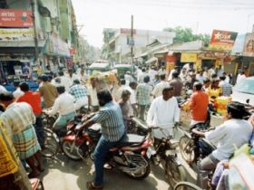 Artigo: O agronegócio e as geladeiras