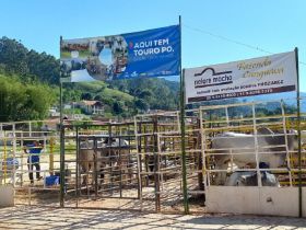 Confira a agenda de Feiras de Touros Pró-Genética da primeira quinzena de novembro