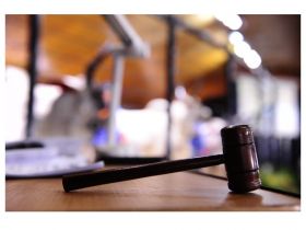 Primeiro leilão da Expogenética movimenta mais de R$2 milhões