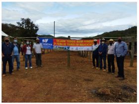 Feira do Pró-Genética em Malacacheta tem média de R$ 16 mil por animal vendido