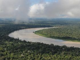 Palestra sobre o projeto Rios Voadores será realizada no Museu do Zebu