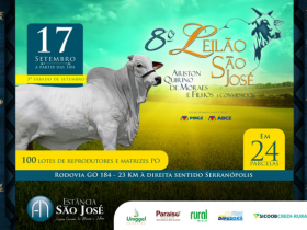 Homologado pelo PMGZ, 8º Leilão São José oferta 100 reprodutores e matrizes PO