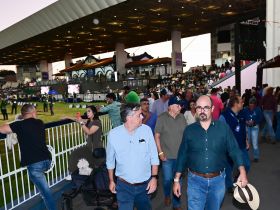  Vice-Governador de Minas Gerais visita a 90ª ExpoZebu e destaca papel da feira na valorização da genética e do agronegócio mineiro