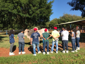 Estudantes de Fortaleza visitam empresas e fazendas referências de melhoramento genético em Uberaba