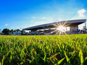 Julgamentos das raças zebuínas marcam a programação deste domingo na 91ª ExpoZebu