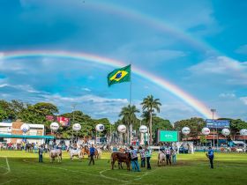 Conheça a programação da 90ª ExpoZebu nesta sexta-feira (2)
