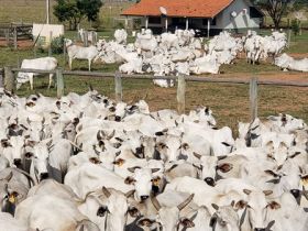 Primeiro contrato do PMGZ Comercial no Mato Grosso do Sul é assinado com a HoRa Höfig Ramos