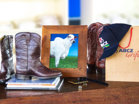 ?Grife da ABCZ? é reaberta no Parque Fernando Costa