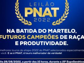 ExpoGenética 2022: Preparativos finais para o ‘Leilão Touros PNAT’