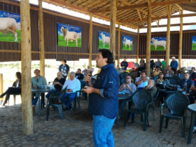 5ª edição do Circuito PMGZ exalta a Raça Brahman