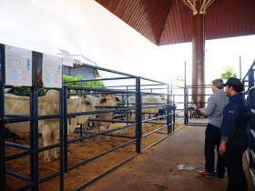 Inscrições abertas para o ?Prêmio Cláudio Sabino Carvalho?