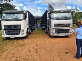 Exemplares de raças zebuínas e seus cruzamentos quarentenados em Uberaba já estão na Bolívia