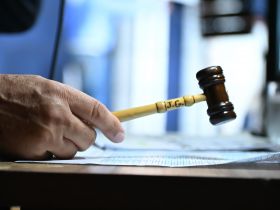 90ª ExpoZebu: leilões oficiais da feira já movimentaram mais de R$ 112 milhões