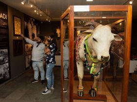 ABCZ recebe visita do ator Rafael Custódio