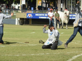 ExpoZebu 2017: uma feira para entrar na história