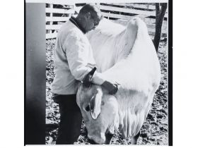 ABCZ lamenta o falecimento de Maurício Acatauassu Teixeira