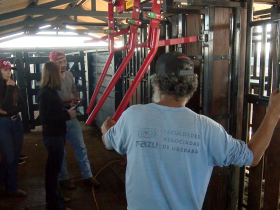 Animais participantes do PNAT passam por pesagem