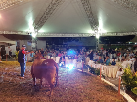 3º Leilão Sindi Pompeu Borba acontece nesta sexta-feira (21)