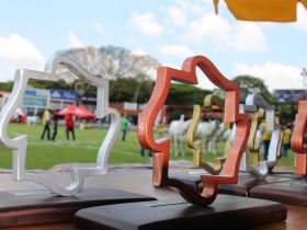 Inscrições com direito de indicação de nomes para a escolha dos jurados para a 53ª Expoinel vão até 18 de setembro