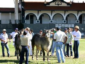 ABCZ divulga calendário de cursos para 2012