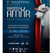 Shopping Fazenda Amar