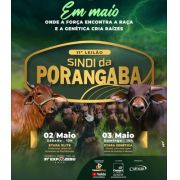 Leilão Sindi Porangaba