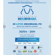 3º Leilão do Condomínio Induberaba & Convidados