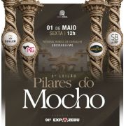 Leilão Pilares do Mocho