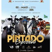 Leilão Nelore Pintado - Expozebu