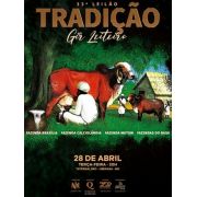 Leilão Tradição Gir Leiteiro