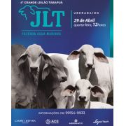 4º Mega Leilão JLT e Amigos