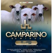 Leilão Expozebu Camparino e Amigos