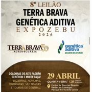 Leilão Terra Brava e Genética Aditiva