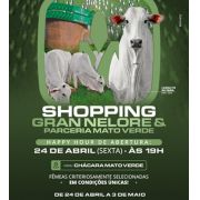 Shopping Gran Nelore & Parceria Mato Verde