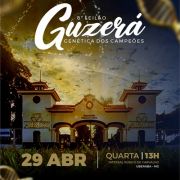 Leilão Guzerá Genética de Campeões
