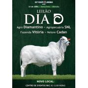 Leilão Agro Diamantino e Nelore Vitória