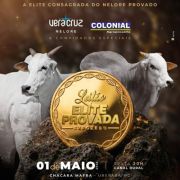 Leilão Elite Provada