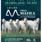 Leilão Mafra - Edição Expozebu