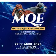 Leilão Melhor que a encomenda - Fazendas do BASA