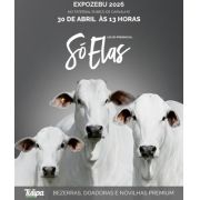 Leilão Só Elas - Tulipa Agropecuária - Edição Expozebu