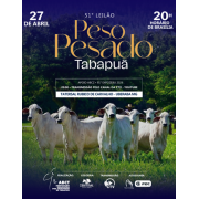 51º Leilão Peso Pesado Tabapuã