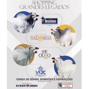 Shopping Baronesa-Brumado-Ipê Ouro