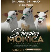  Shopping Nelore Mônica