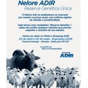 Vitrine e Shopping Adir