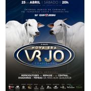 31º Leilão Nova Era VRJO & Convidados 2026